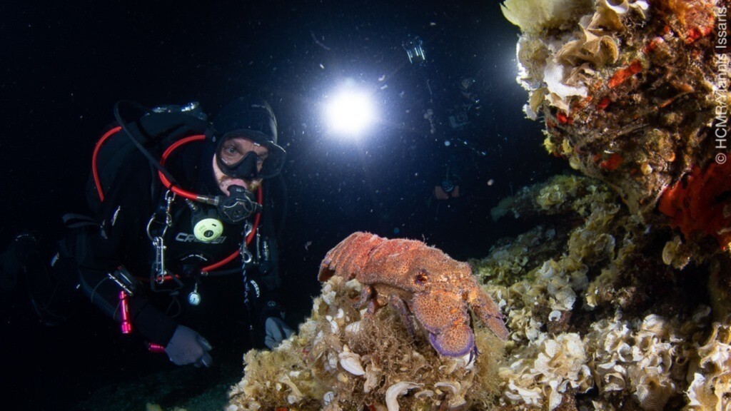 gyaros marine protected area diving biodiversity