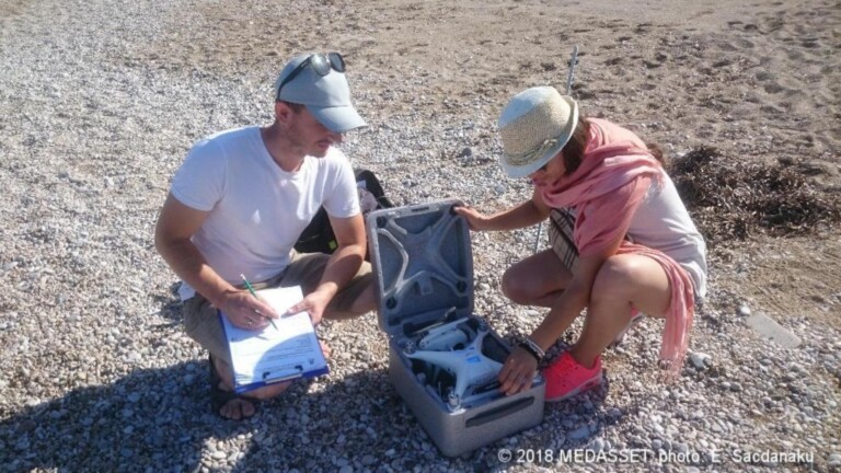 conservation marine turtles mediterranean project beach work