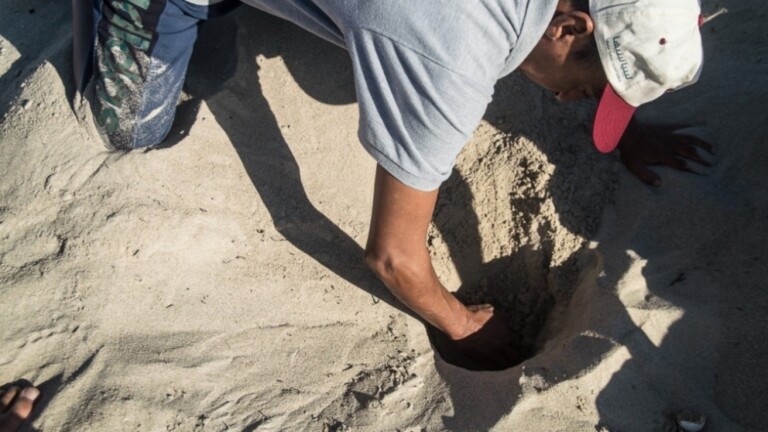 conservation marine turtles mediterranean project nesting monitoring