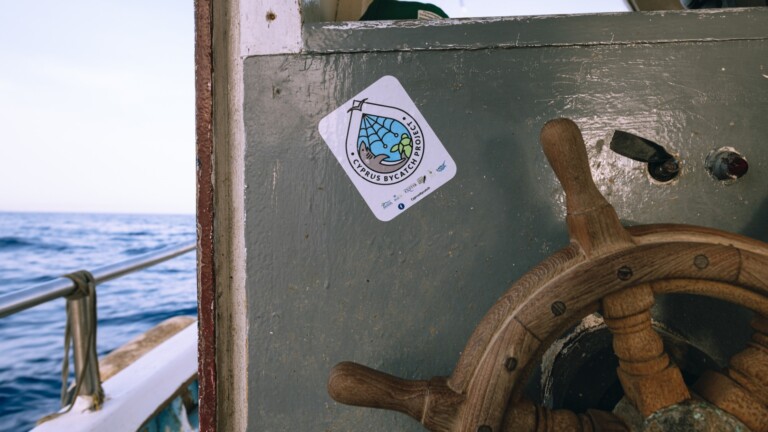 cyprus bycatch mediterranean project boat helm