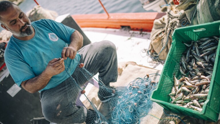 cyprus bycatch mediterranean project fisher boat catch