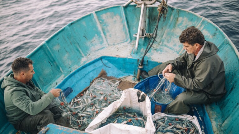 cyprus bycatch mediterranean project fishers fishing net boat