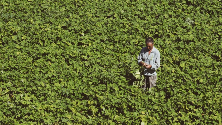 foodnetcted mediterranean project agriculture