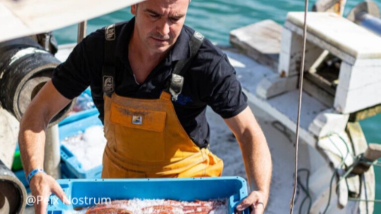 medbycatch mediterranean project fisher carrying box