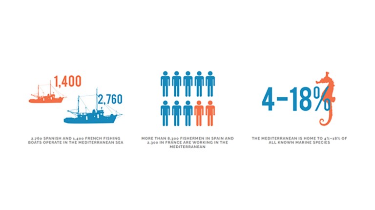 medpath mediterranean project figures