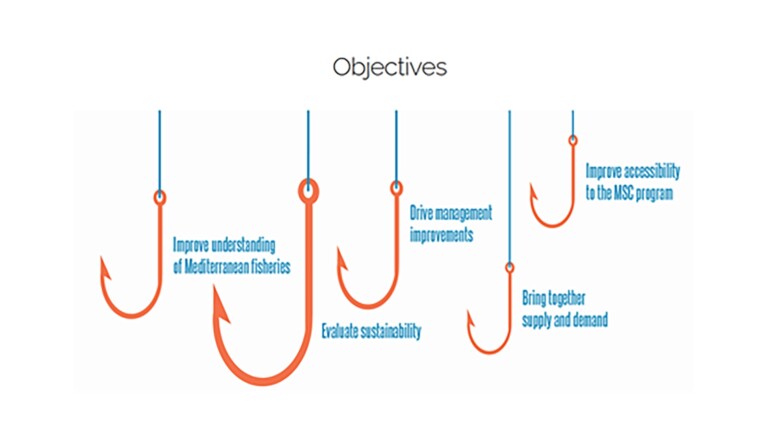 medpath mediterranean project objectives