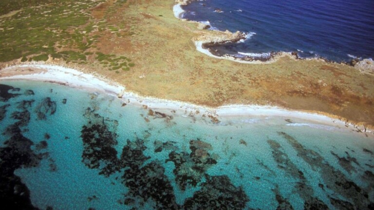 medseagrass mediterranean project sinis mpa landscape 1