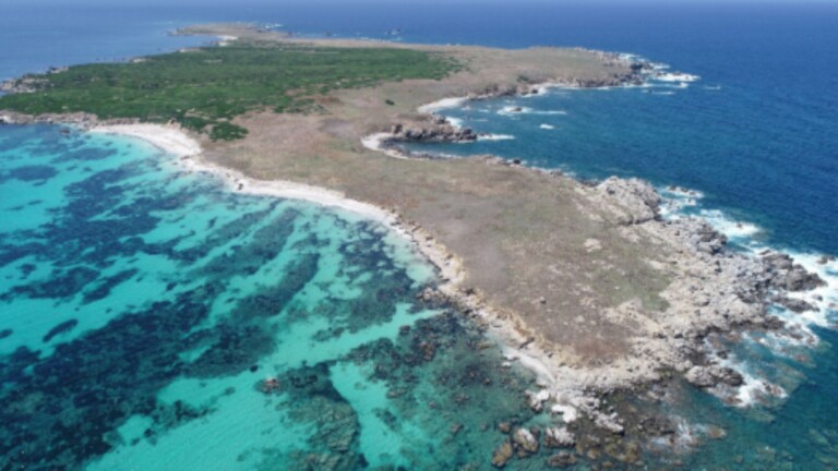 medseagrass mediterranean project sinis mpa landscape 2