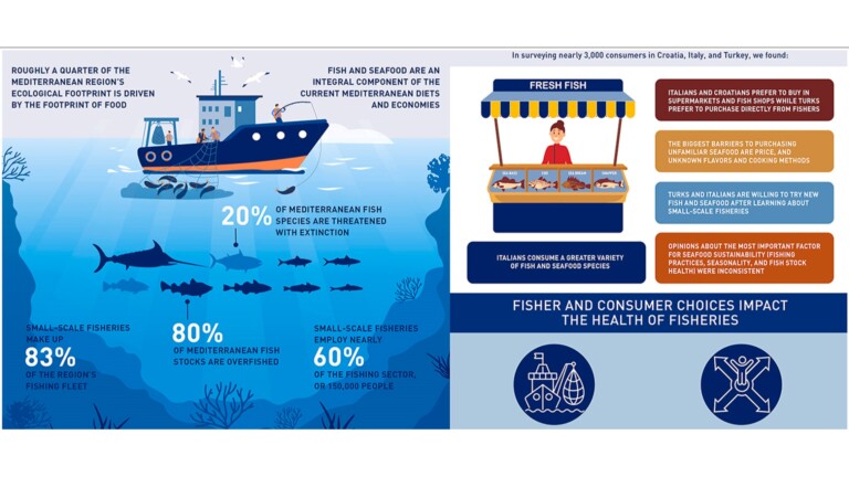 seafood ecological foodprint mediterranean project infographics 2