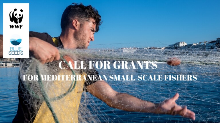 sustainable small scale fisheries mediterranean project call for grant