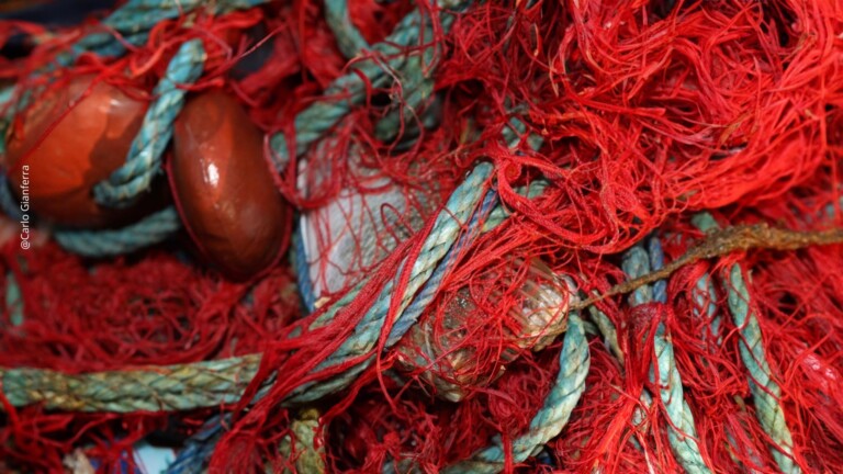 sustainable small scale fisheries mediterranean project fishing net