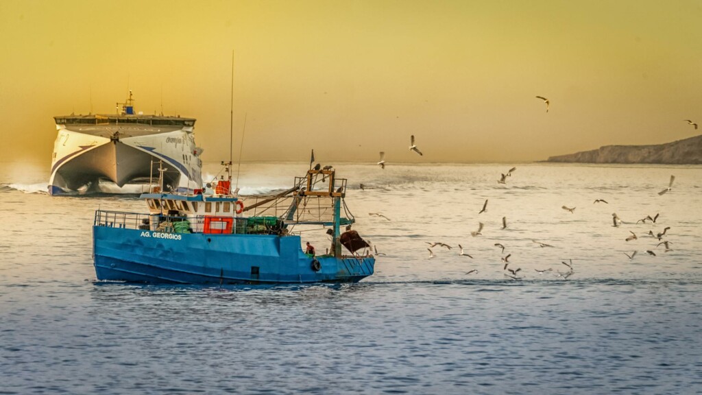 seabirds fishing boat greece sunset